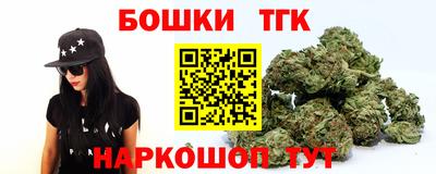 дурь Камышлов