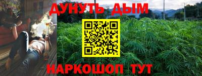 дурь Камышлов