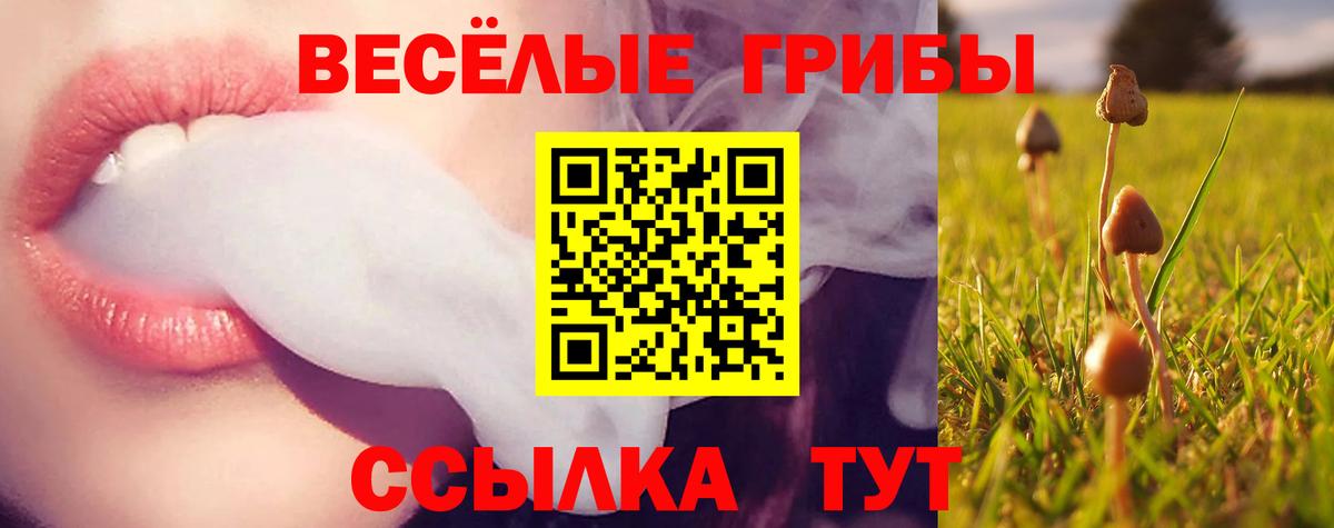 Михайловка  Галлюциногенные грибы мухоморы  даркнет сайт  Псилоцибиновые грибы GOLDEN TEACHER  Вход с VPN 
